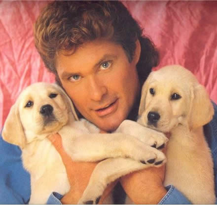 Photo: David Hasselhoff holding two golden retriever puppies.