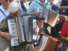 Photo: World-record accordion playing crowd in St. John's, Newfoundland.