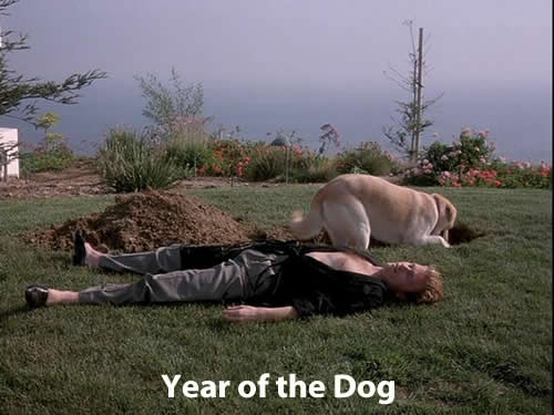 Year of the Dog