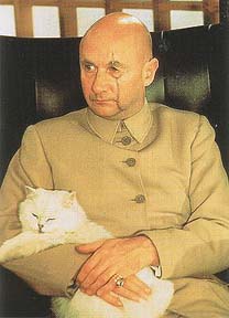 Ernst Stravi Blofeld and cat