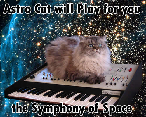 Astro cat will play for you the symphony of space!