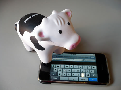 Squishy cow and iPhone