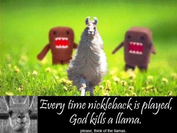 Poster: “Every time Nickelback is played, God kills a llama.”