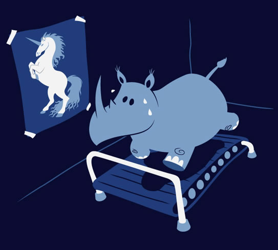 “Runnin’ Rhino” t-shirt (Rhino on a treadmill, looking at a poster of a unicorn) from Threadless.
