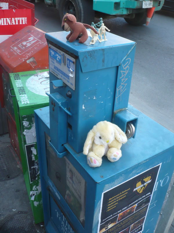 Stuffed animals on a Toronto Star newspaper box