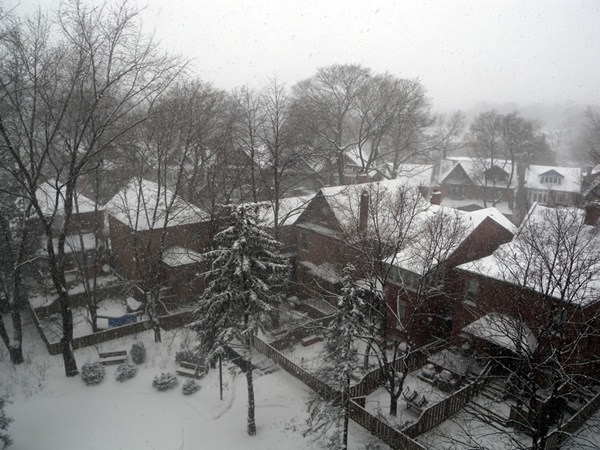 Snow-covered houses on Gothic Avenue