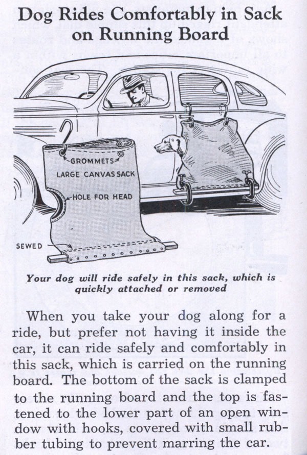 Old newspaper clipping: "Dog Rides Comfortably in Sack on Running Board"