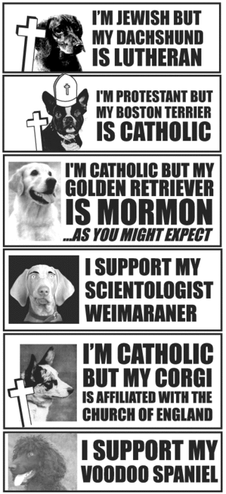 dogs_of_a_different_religion