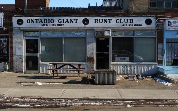 Ontario Giant Runt Club