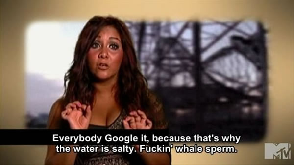 'Snooki' from 'Jersey Shore': Everybody Google it, because that's why the water is salty. Fuckin whale sperm.