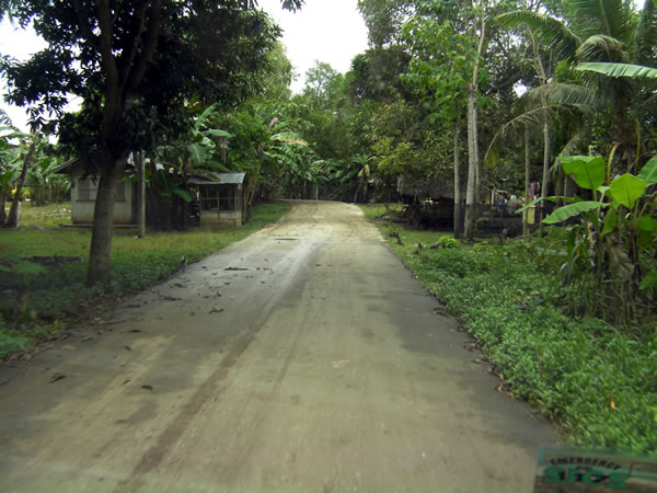 Dirt road leading to the entrance of Bohol Bee Farm