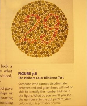 Isihara color blindess test with caption "If you see the number 15 in the dot pattern, your color vision is probably normal". The dot pattern in the test actually shows the number 29.