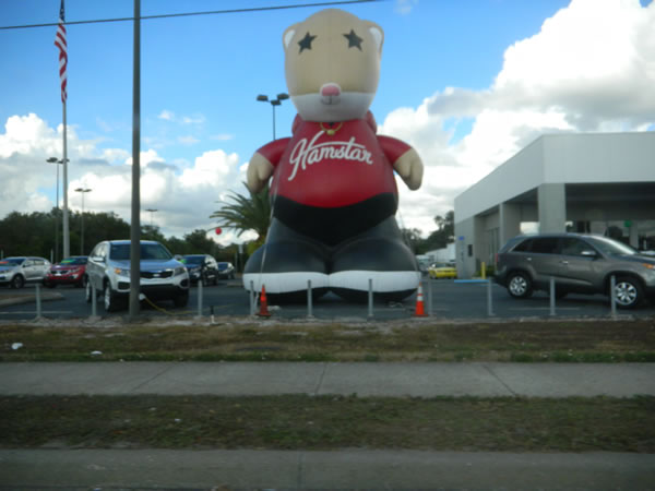 Giant balloon shaped like a hamster wearing a sweater that says "Hamstar". The balloon is on a vehicle dealer's lot.