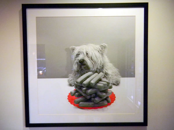 Framed photo of a dog sitting patiently at a table with a plate of hot dogs.