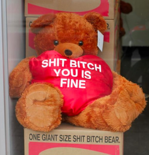 Teddy bar with heart that reads 'Shit bitch you is fine'