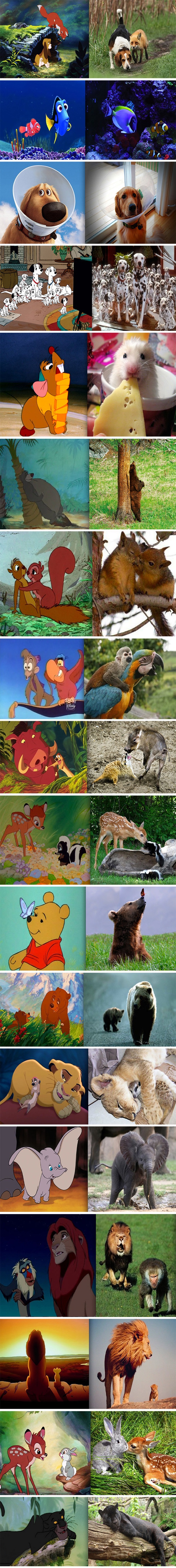 disney animals in real life