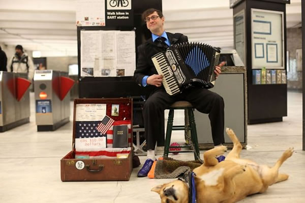 accordion helper dog 8