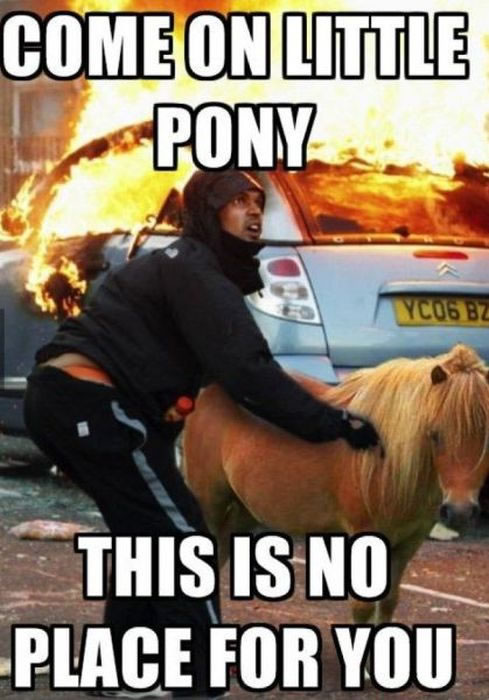 come on little pony
