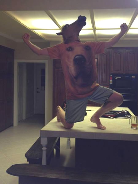 Guy in horse mask wearing a t-shirt with a dog's face strikes a victory pose on a kitchen island.
