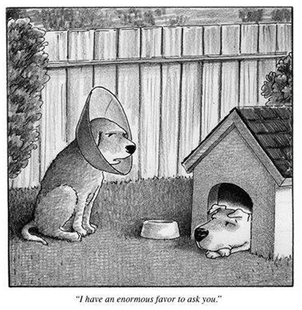 This rejected New Yorker cartoon might just be the best New Yorker