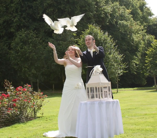 wedding dove release