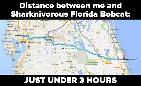 Headline: Distance between me and Sharknivorous Florida Bobcat: JUST UNDER 3 HOURS / Image: Google Map showing route from Tampa to Vero Beach