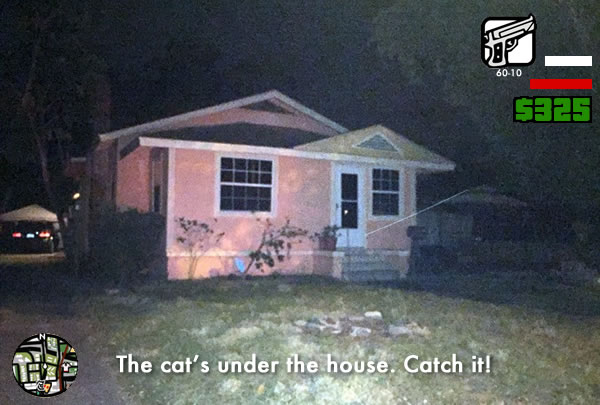 cat under house