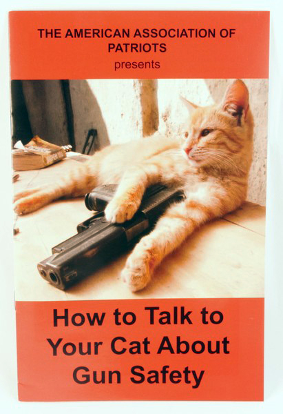 How to Talk to Your Cat About Gun Safety: And  