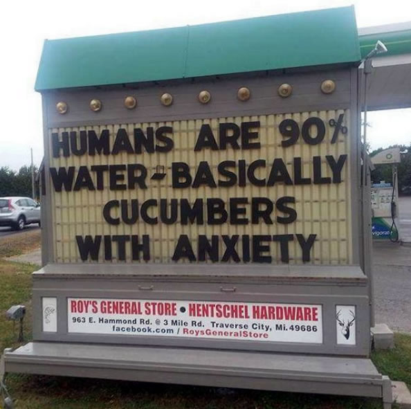 humans basically cucumbers with anxiety