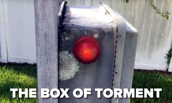 box-of-torment