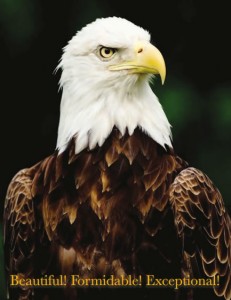 Bald eagle with the caption "Beautiful! Formidable! Exceptional!"