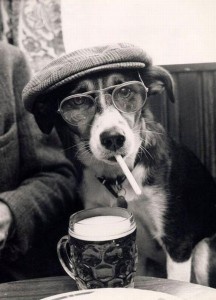 Dog wearing an Irish-style cap and glasses, with a cigarette in his mouth and a pint glass full of beer in front of him.