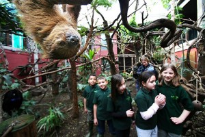 Photo of children on school trip, with sloth hanging in foreground