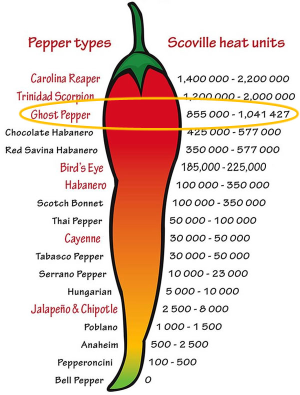 scoville scale - The Adventures of Accordion Guy in the 21st Century