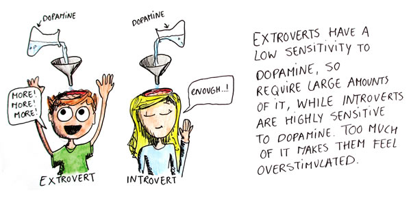 Comic depicting an extrovert and introvert responding differently to dopamine. The extrovert says 'More! More! More!', while the introvert says 'Enough'. The caption reads 'Extroverts have a low sensitivity to dopamine, so require large amounts of it, while introverts are highly sensitive to dopamine. Too much of it makes them feel overstimulated.