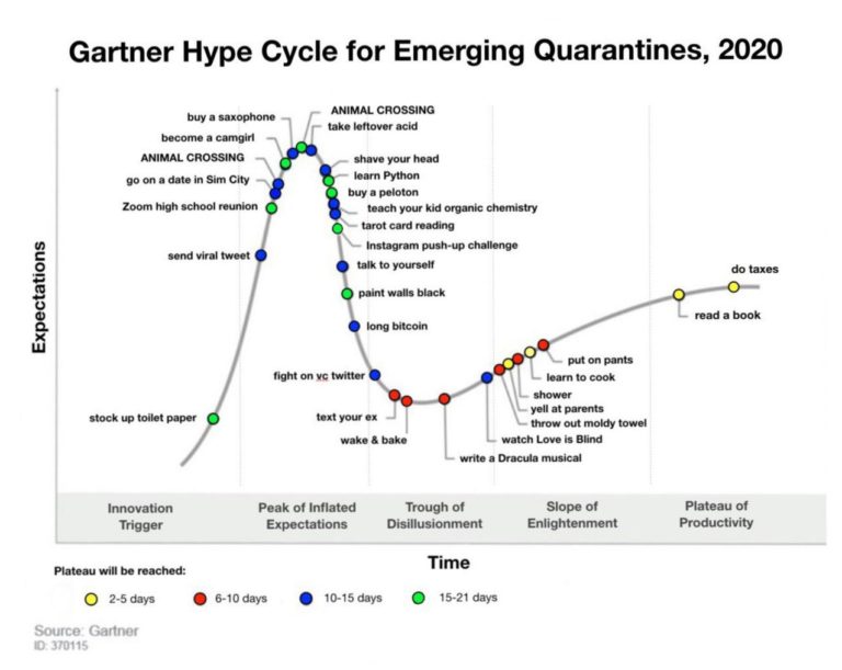 The Gartner Hype Cycle for emerging quarantines The Adventures of