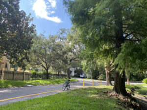 Photo: Light blue bike parked on the side of Roberta Circle, a tree-lined street with nice houses.