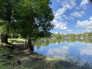 Photo: The southern edge of Lake Roberta (actually a pond) as seen from its west side. The lake is lined with trees, and its still waters reflect the clouds and blue sky above.