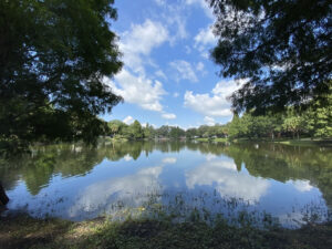 Photo: The middle of Lake Roberta (actually a pond) as seen from its west side. The lake is lined with trees, and its still waters reflect the clouds and blue sky above.