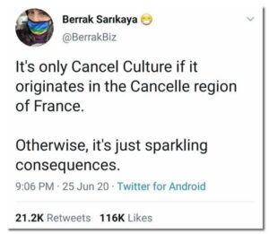 Screenshot of tweet: Berrak Sarikaya (@BerrakBiz): It’s only cancel culture if it originates in the Cancelle region of France. Otherwise, it’s just sparkling consequences.