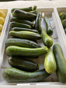 Photo: Green zucchini at Bearss Groves