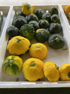 Photo: Patty-pan squash at Bearss Groves