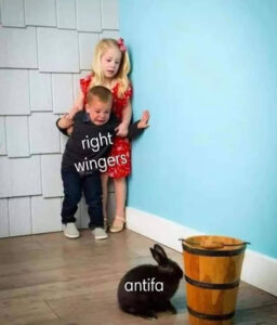 Photo: Two children labeled “Right wingers”, cowering in a corner as they watch a rabbit labeled “Antifa” minding its own business beside a bucket.
